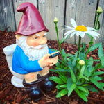 Gartenzwerg Auf Klo - Vignette | GZLustig