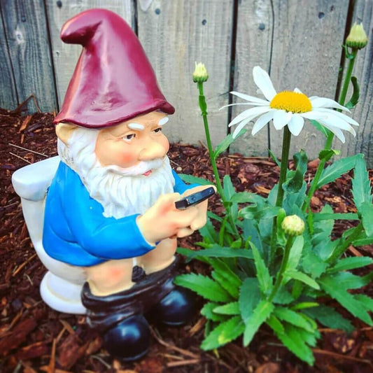 Gartenzwerg Auf Klo