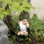 Gartenzwerg beim Kacken - Vignette | GZLustig