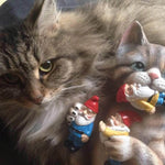 Gartenzwerg Katze - Vignette | GZLustig