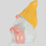 Schwedischer Gartenzwerg - Vignette | GZLustig