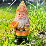 Süßer Gartenzwerg - Vignette | GZLustig