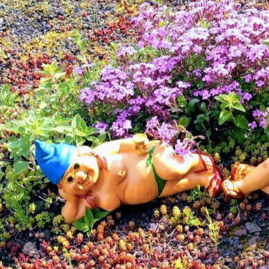 gartenzwerg-nackt-liegend