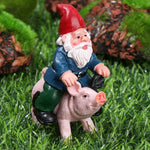 Gartenzwerg Auf Schwein - Vignette | GZLustig