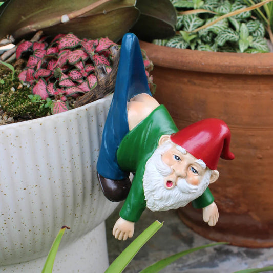 Gartenzwerge Witzig