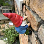 Kletternder Gartenzwerg - Vignette | GZLustig